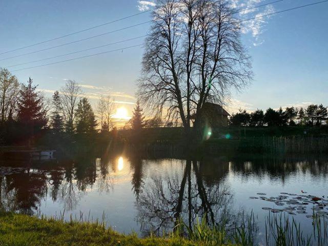 Ranczo Nad Stawem Villa Ryn  Exteriör bild